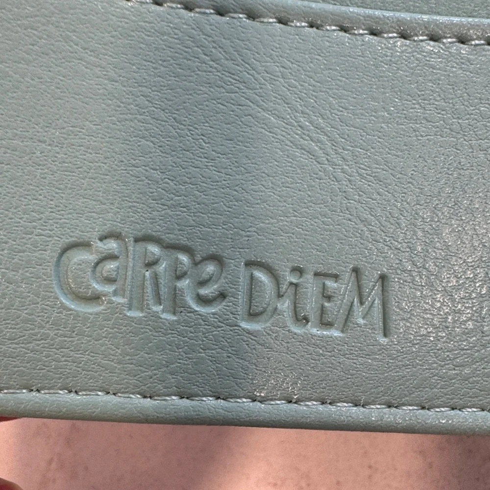 Carpe Diem Faux Leather Teal Planner Agenda Organizer Binder A5